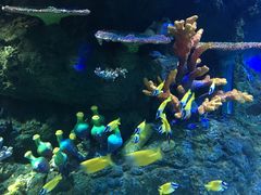 -华夏文旅海洋公园