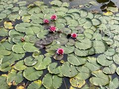 -天津东丽湖风景区