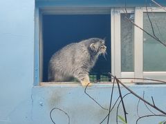 -青藏高原野生动物园