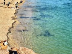 -将相和·海鲜蒸饺大连菜