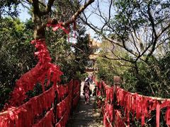 -海南铜鼓岭景区