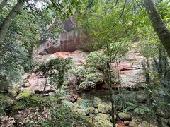 -赤水丹霞旅游区·佛光岩