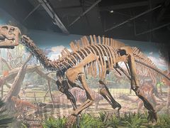 -辽宁古生物博物馆