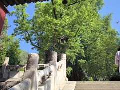 -潭柘寺景区