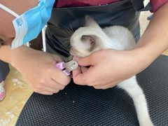 -美联众合动物医院·24h京西诊疗中心