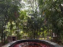-融汇温泉