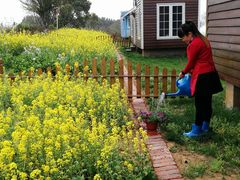 工作人员在浇花中～-龙湖东院农庄(乡间小路店)