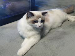 -零纪元VR体验馆·桌游(黄浦店)