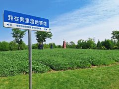 -同里国家湿地公园