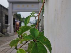-青果巷历史文化街区