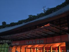 -天府芙蓉园