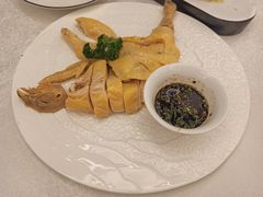 白斩鸡-梅龙镇酒家(南京西路总店)