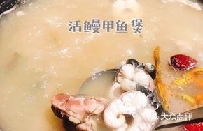 Live Eel and Softshell Turtle Stew