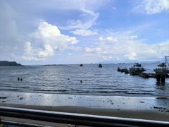 -霞涌市场海鲜摆卖区