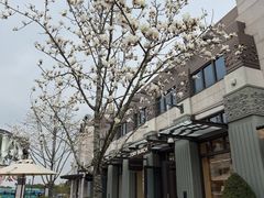 -比斯特上海购物村精品奥特莱斯