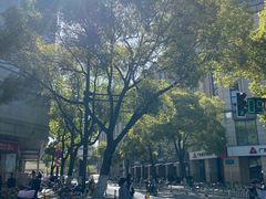 -郑和公园
