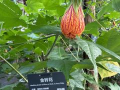 -北京植物园-展览温室