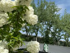 -钟记家菜(红专南路店)