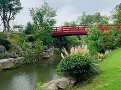 -羊山湖公园