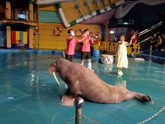 -烟台海昌鲸鲨海洋公园