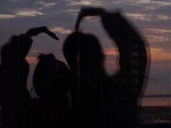 -南汇嘴观海公园