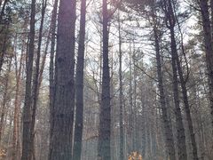 -帽儿山国家森林公园