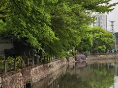 -晓港公园