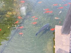 -长阳创谷