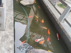 -阳春市花园酒店