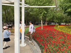 -长春公园(普阳街道)