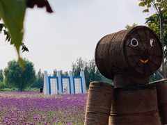 -渔岛海洋度假区