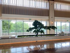 -上海佘山世茂艾美酒店