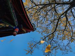 -金堂县云顶石城风景区