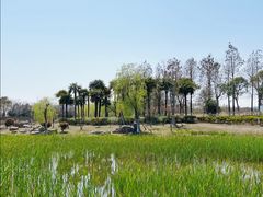 -春花秋色城市公园