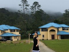 -海南热带雨林国家公园吊罗山景区