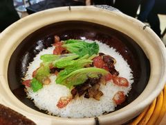 -旺小胖小龙虾