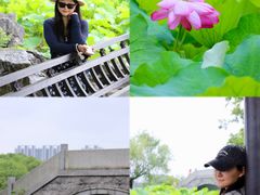 -高子水居