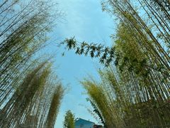 -鲜璟山院