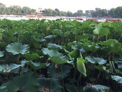 -小王府(什刹海店)