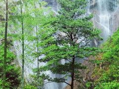 -千泷沟大瀑布旅游区