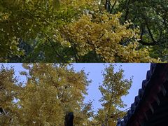 -香山公园-东宫门售票处