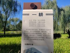-北坞公园