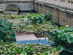 -北京市劳动人民文化宫(太庙)