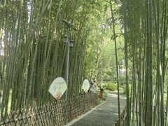 -陈家山荷花公园