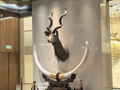 -雅致·永乐汇