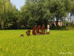 -北坞公园