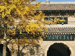-灵谷景区