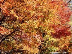 -丹东天桥沟景区