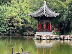 -水绘园