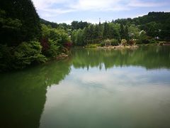 -四明山国家森林公园
